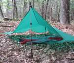 Trekking pole can support a shelter.